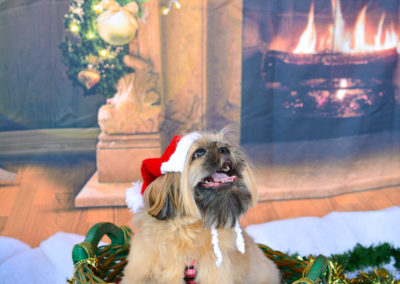 _DSC7441
